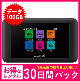 【100GB】【30日レンタルパック】601HW/602HW