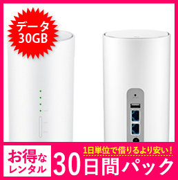 【30GB】【30日レンタルパック】Speed Wi-Fi HOME L01