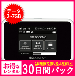 【法人限定】【30日レンタルパック】ドコモ HW-02G