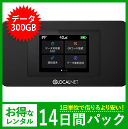 【300GB】【14日レンタルパック】NA01