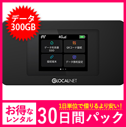 【300GB】【30日レンタルパック】NA01