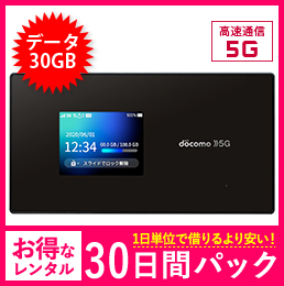 【法人限定】【30GB】【30日レンタルパック】ドコモSH-52A5G