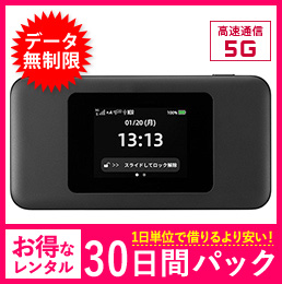 【法人限定】【無制限】【30日レンタルパック】WiMAX Dock 5G