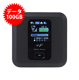 【100GB】FS030
