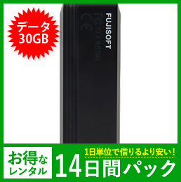 【30GB】【14日レンタルパック】＋F FS040U USBタイプ