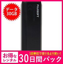 【30GB】【30日レンタルパック】＋F FS040U USBタイプ