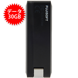 【30GB】＋F FS040U USBタイプ