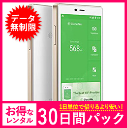 【無制限】【30日レンタルパック】G4 Pro