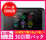 【100GB】【30日レンタルパック】501HW
