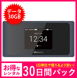 【法人限定】【30GB】【30日レンタルパック】ドコモ HW-01L