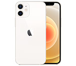 【法人限定】iPhone12 mini