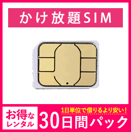 【法人専用】【30日パック】SIMのみ かけ放題音声回線 
