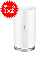 【30GB】HOME L01