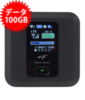 【100GB】FS030