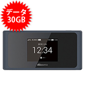 【法人限定】【30GB】ドコモ HW-01L